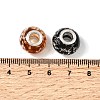 Glow In The Dark Handmade Luminous Style Lampwork Large Hole European Beads X-LPDL-R007-02-3