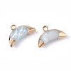 Electroplate Natural Amazonite Charms G-S344-48K-2