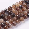 Natural Striped Agate/Banded Agate Beads Strands G-G581-10mm-11-1