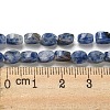 Natural Blue Spot Jasper Beads Strands G-M420-H06-03-5