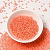 6/0 Transparent Glass Seed Beads SEED-F003-03A-11-2