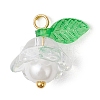 Glass Pendants PALLOY-MZ00837-04-1