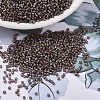 MIYUKI Delica Beads X-SEED-J020-DB1790-1