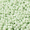 Opaque Colours Luster Glass Seed Beads SEED-B001-01A-10-3
