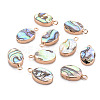 Electroplated Natural Abalone Shell/Paua Pendants SSHEL-T014-22-1