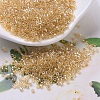 MIYUKI Delica Beads SEED-J020-DB0099-1