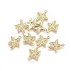 Alloy Pendants TIBEP-A040-037G-NR-1