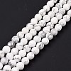 Natural Howlite Beads Strands G-E571-29A-3