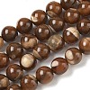 Natural Trochus Shell Beads Strands SH-CBAFEDD-02B-1