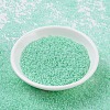 MIYUKI Round Rocailles Beads SEED-JP0008-RR0218-2