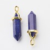 Natural Lapis Lazuli Double Terminated Pointed Pendants G-G902-B02-1