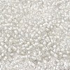 8/0 Transparent Glass Seed Beads SEED-F003-03B-07-3