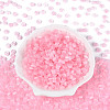 Glass Seed Beads SEED-T007-17G-2