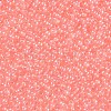 11/0 FGB Grade A Transparent Glass Seed Beads X-SEED-N001-F-233-2