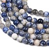 Natural Sodalite Beads Strands G-S279-10-8mm-7
