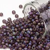 TOHO 8/0 Round Beads X-SEED-TR08-0166BF-1