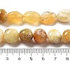 Natural Yellow Opal Beads Strands G-C179-F03-01-5