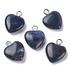 Natural Sodalite Pendants G-E603-01P-01-1