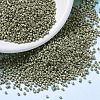 MIYUKI Delica Beads SEED-MY11-DB1170-1