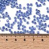 8/0 Glass Seed Beads X1-SEED-A011-3mm-146-4