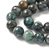 Natural Dioptase Beads Strands X-G-D302-02-8mm-4