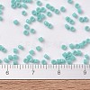 MIYUKI Delica Beads X-SEED-J020-DB1136-4