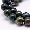 Natural Indian Bloodstone Beads Strands G-P257-07-10mm-3