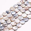 Natural Freshwater Shell Beads X-S00C20J8-2