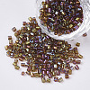 8/0 Two Cut Glass Seed Beads SEED-S033-04A-01-1