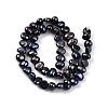 Natural Cultured Freshwater Pearl Beads Strands PEAR-L033-42D-01-3