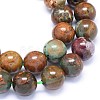 Natural Jasper Gemstone Beads Strands G-O180-15E-3
