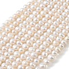 Natural Cultured Freshwater Pearl Beads Strands PEAR-L034-16C-2