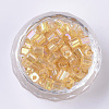 6/0 Glass Seed Beads SEED-S027-06B-01-2
