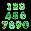 Luminous Transparent Resin Pendants RESI-A046-01-3