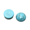 Synthetic Turquoise Cabochons TURQ-WH0001-01E-1