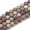 Natural America Picture Jasper Beads Strands G-T106-167-1