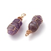 Natural Amethyst Pointed Pendants PALLOY-JF00801-4