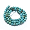 Natural Magnesite Beads Strands G-D0012-01B-2