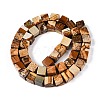 Natural Picture Jasper Beads Strands G-T139-8x8-27A-2