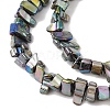 Natural Freshwater Shell Beads Strands BSHE-H018-07E-3