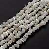 Natural Rainbow Moonstone Beads Strands X-G-A200-02-4