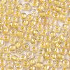 (Repacking Service Available) 8/0 Glass Seed Beads SEED-C025-3mm-2202-2