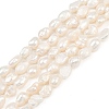Natural Cultured Freshwater Pearl Beads Strands PEAR-P064-20H-02A-2