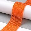Transparent Glass Beads Strands GLAA-H021-04-26-3