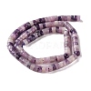 Natural Lepidolite/Purple Mica Stone Beads Strands G-M420-A19-01-3