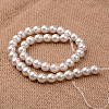 Polished Round Grade A Shell Pearl Bead Strands X-BSHE-M027-12mm-28-2