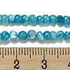 Natural White Shell Dyed Beads Strands BSHE-Z005-03B-4