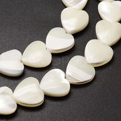 Natural Trochid Shell/Trochus Shell Beads Strands SSHEL-K012-01-A-1