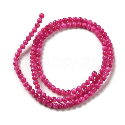 Natural Freshwater Shell Beads Strands SHEL-H003-03F-1