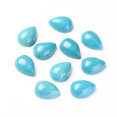 Natural Magnesite Cabochons X-TURQ-L031-042B-03-1